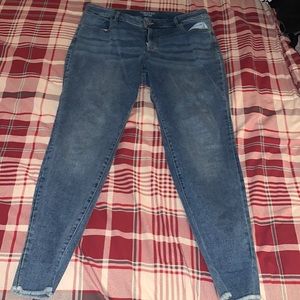 Maurice’s Plus Jean